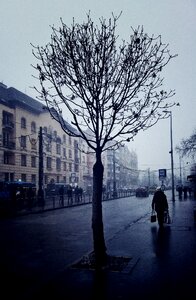 Free stock photo of Budapest, fog, hungary