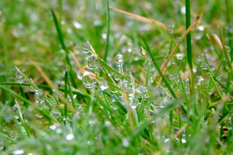 Free stock photo from Tookapic