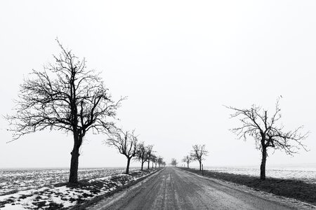 Free stock photo of bw, fog, monochrome
