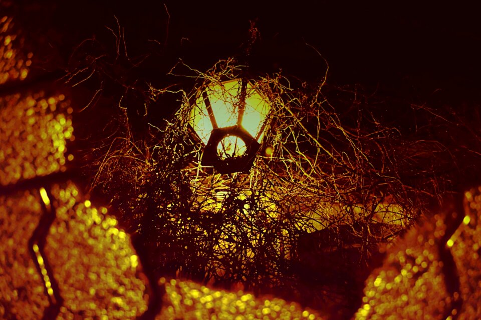 Free stock photo of light, mirror, pavement