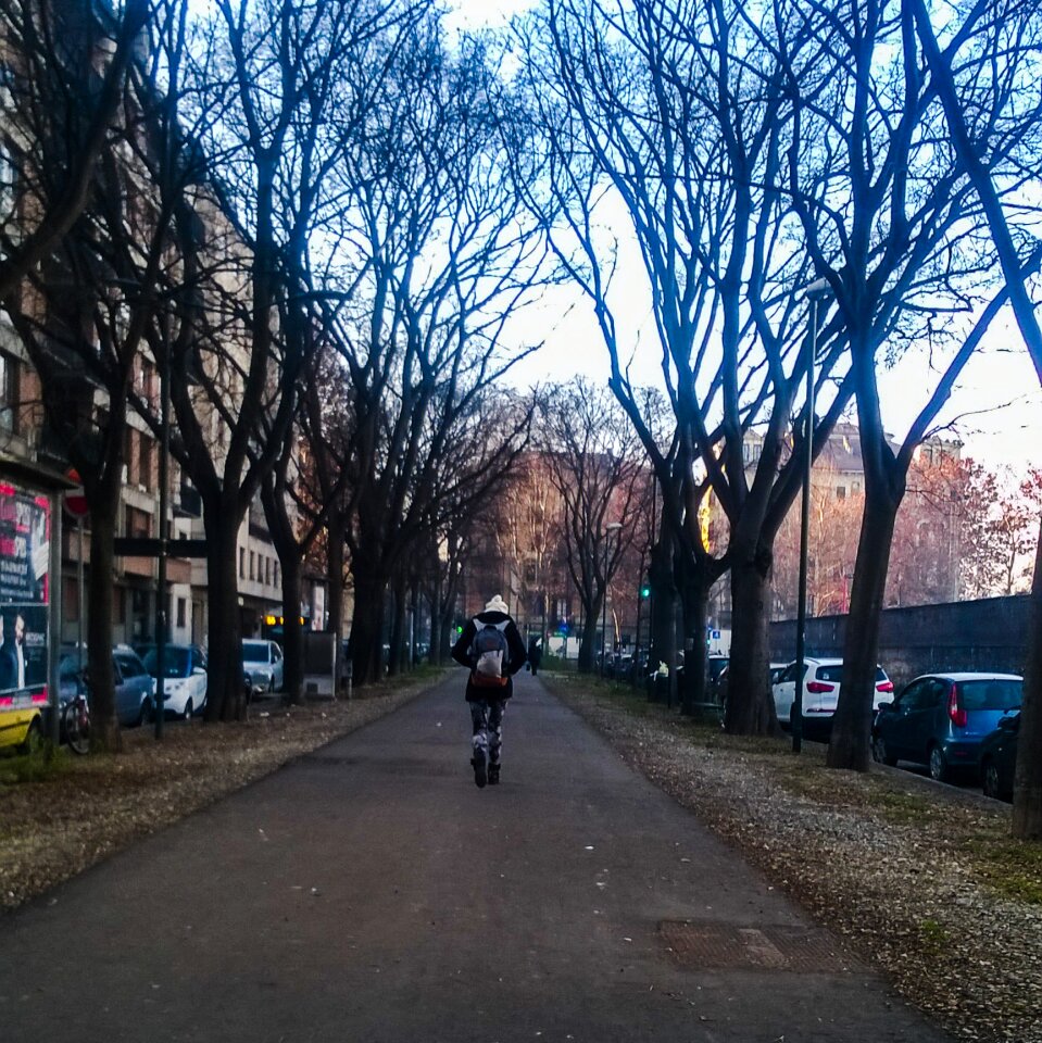 Free stock photo of today, torino, turin