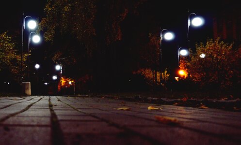 Free stock photo from Tookapic