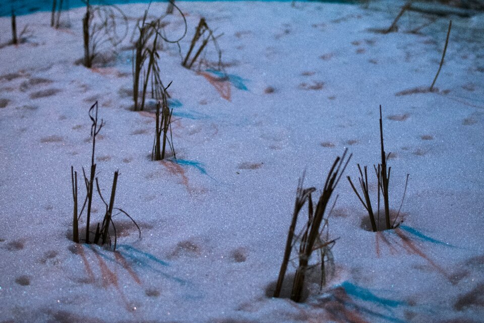 Free stock photo of hollow, nature, snow