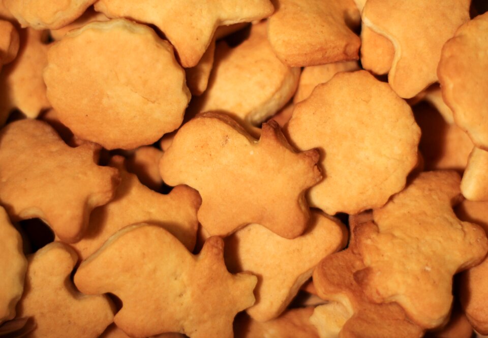Free stock photo from Tookapic