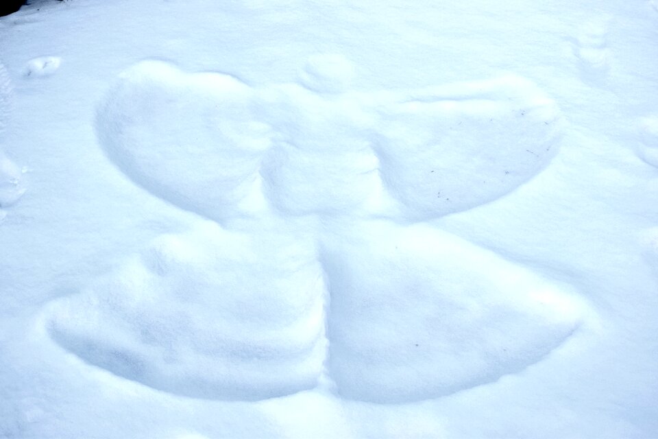 Free stock photo of angel, snow, snow angel