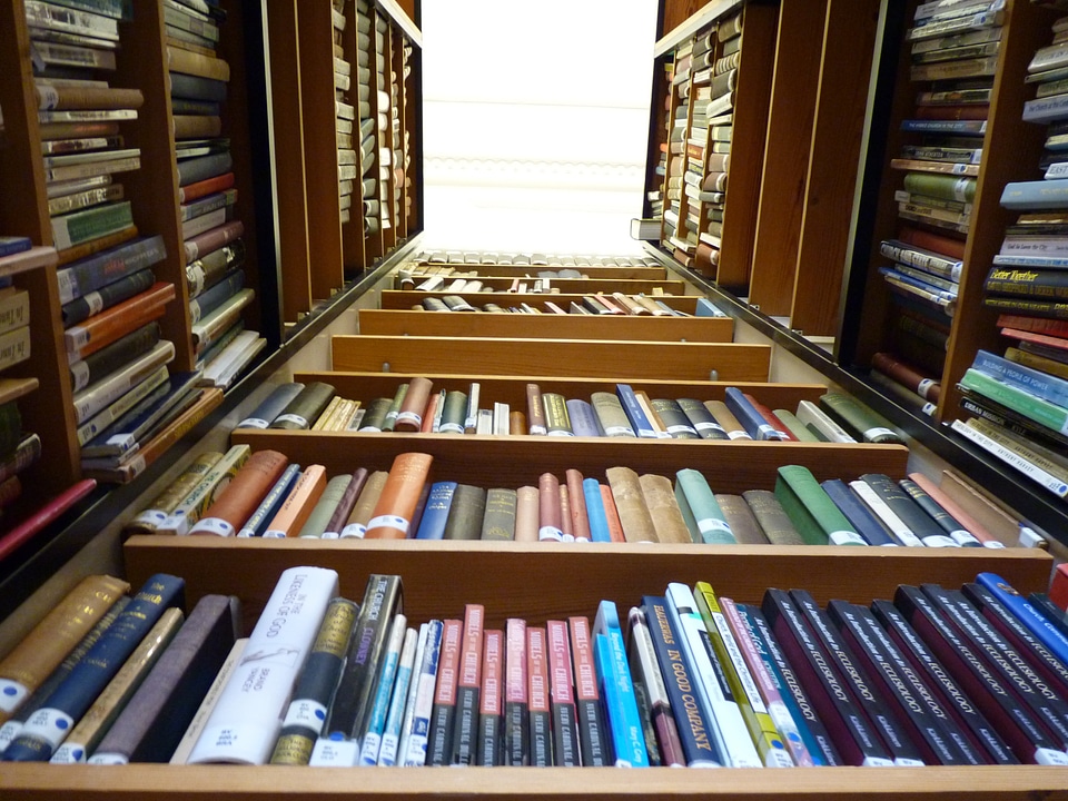 Library books shelf