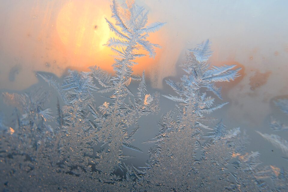 Free stock photo of crystal, frost, ice