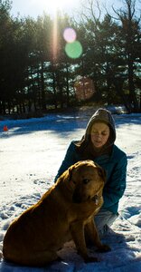 Free stock photo of canon, cold, dog