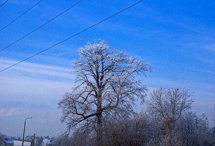 Free stock photo of blue, frost, sky photo