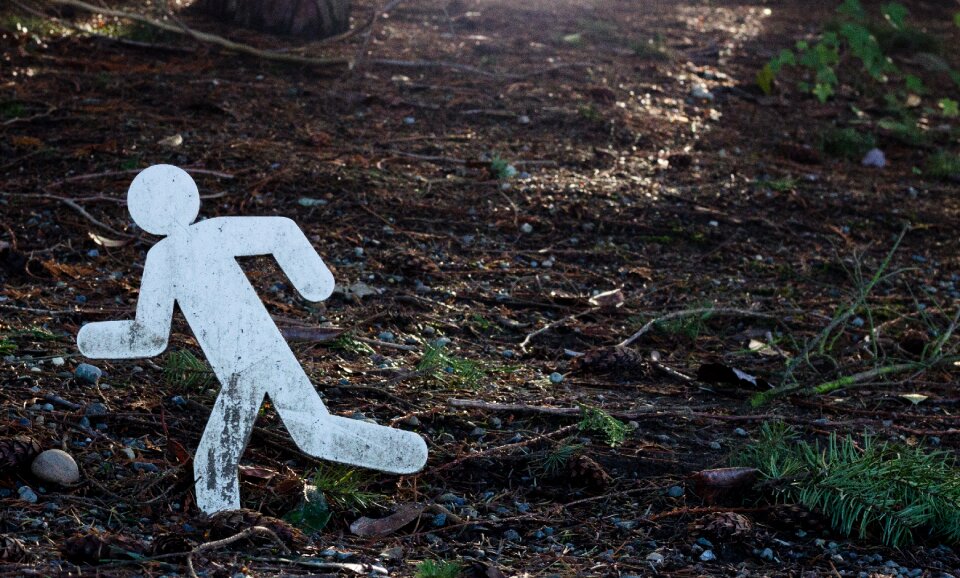 Free stock photo from Tookapic