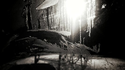 Free stock photo of cold, frozen