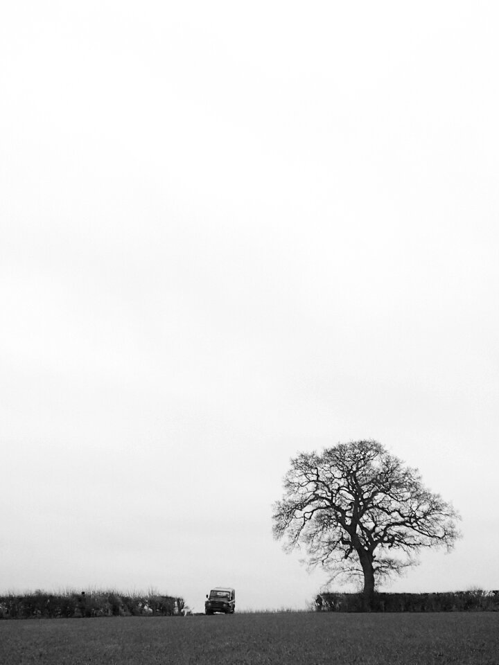 Free stock photo of land rover