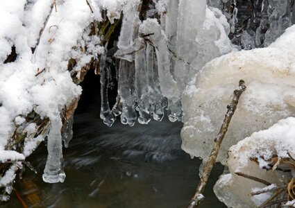 Free stock photo of icicles, snow, water photo