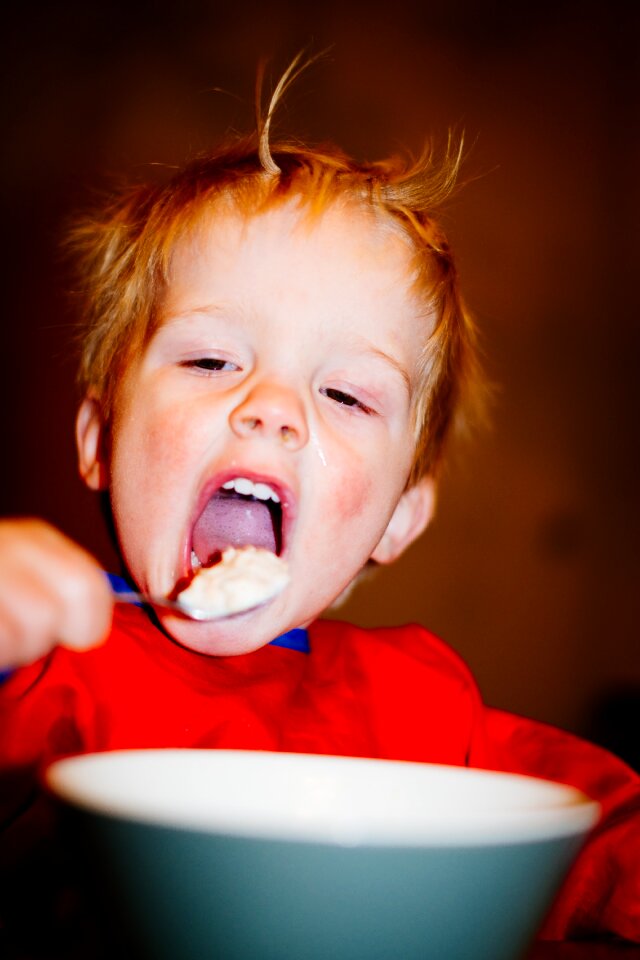 Free stock photo from Tookapic