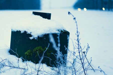Free stock photo from Tookapic