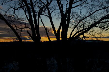 Free stock photo of sunset, tree, winter photo