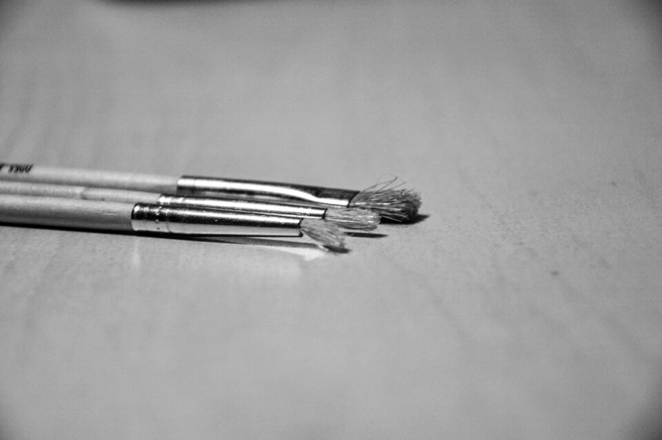Free stock photo from Tookapic