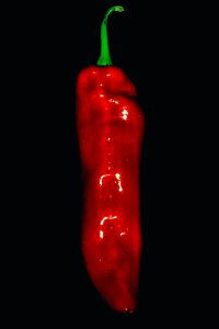 Free stock photo of papryka, red pepper, vegetable photo
