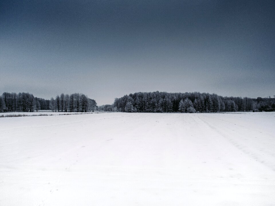 Free stock photo of cold, forest, horizon