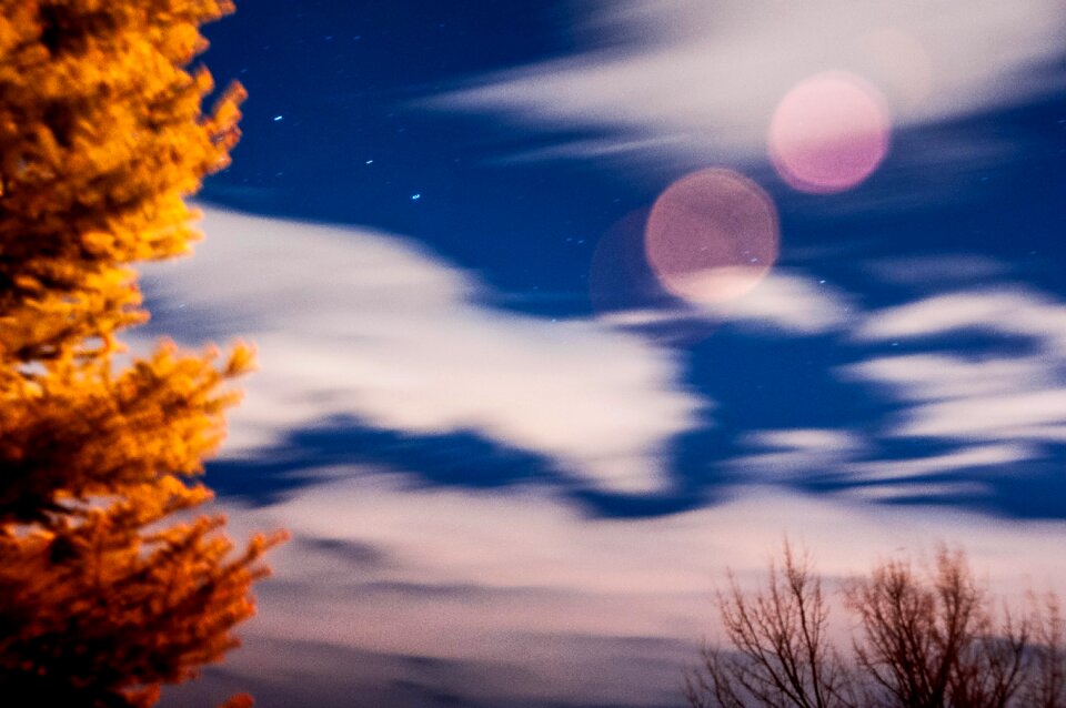 Free stock photo from Tookapic