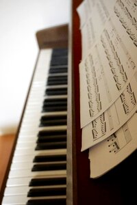 Piano Music Notes photo