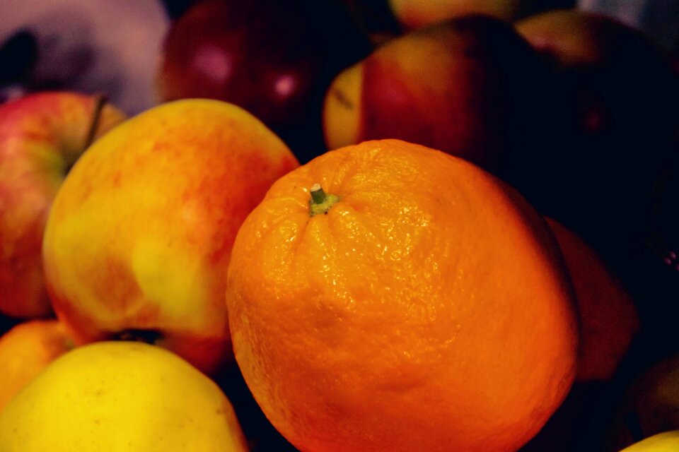 Free stock photo of apple, orange photo