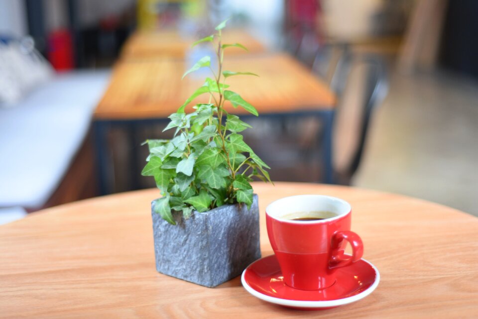 Free stock photo of coffee, leisure, lisa