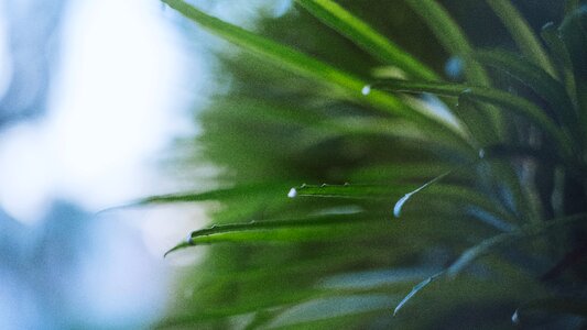 Free stock photo of fuji, helios, nature