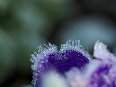 Free stock photo from Tookapic