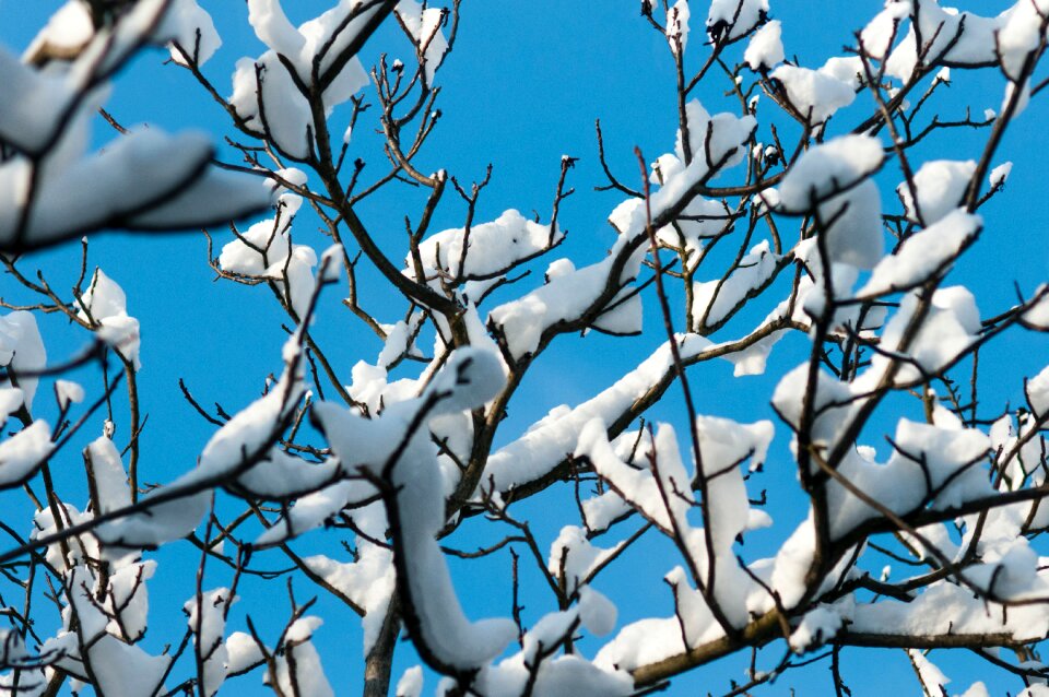 Free stock photo of blue, sky, snow