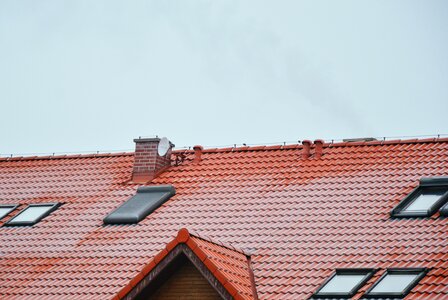 Free stock photo from Tookapic