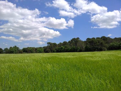 Free stock photo of blue, green, landscape photo