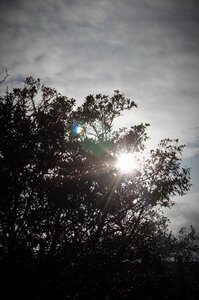 Free stock photo of flare, light, shade