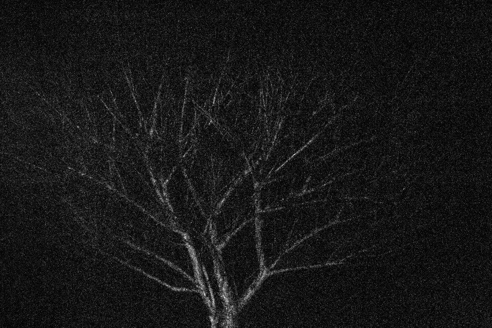 Free stock photo of night