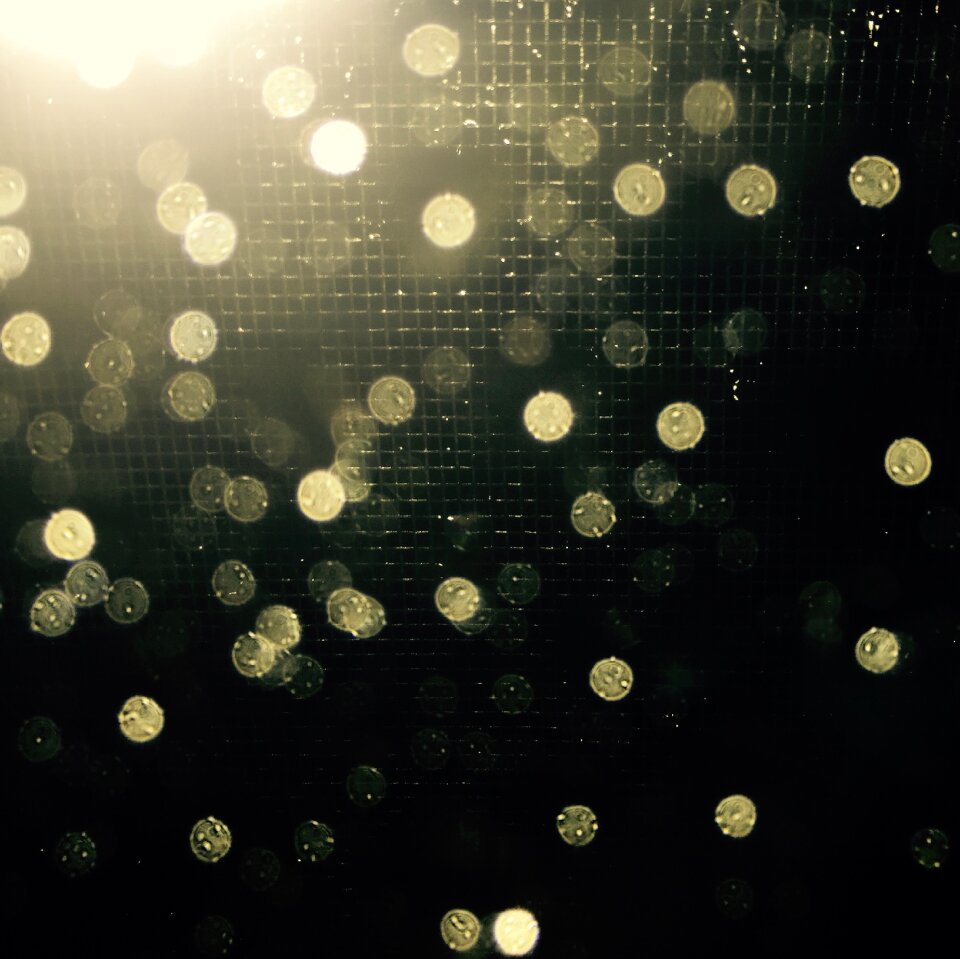 Free stock photo from Tookapic