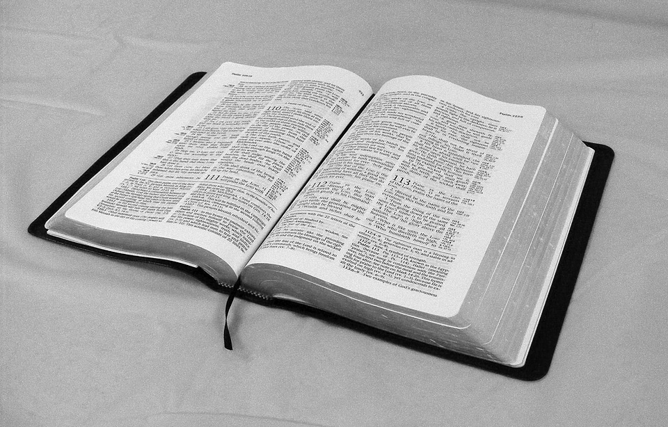 Word scripture faith