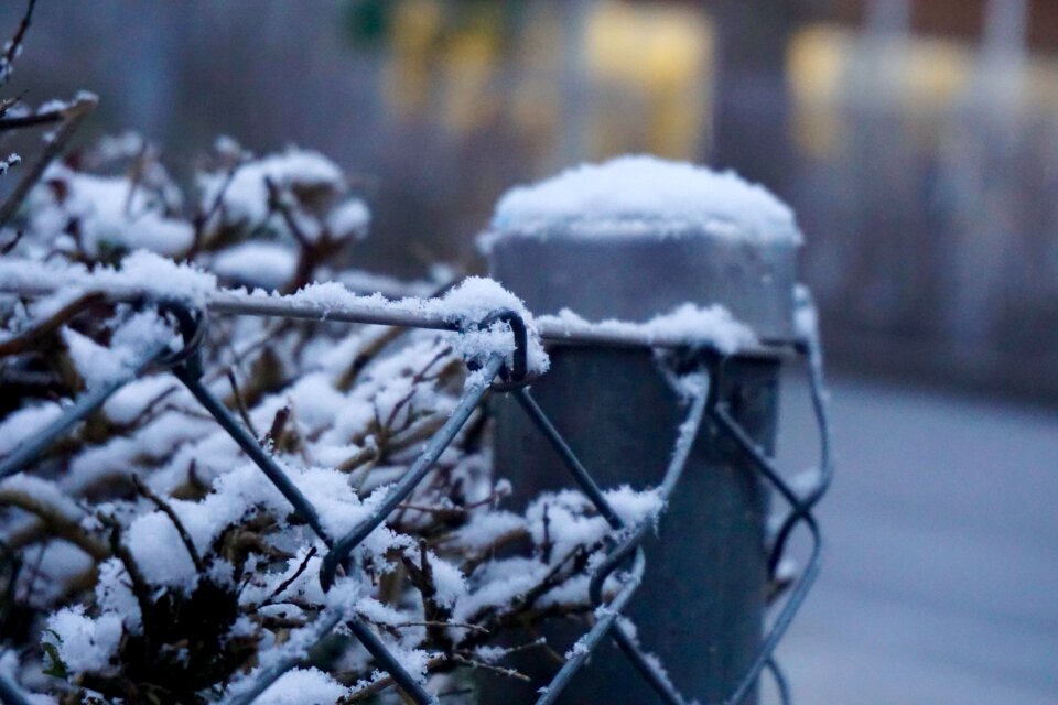 Free stock photo of blur, fence, snow