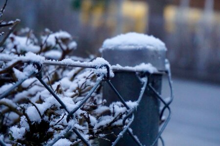 Free stock photo of blur, fence, snow photo