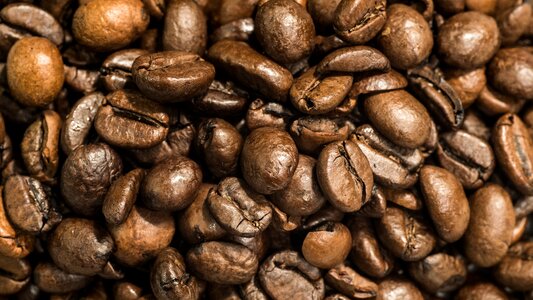 Free stock photo of coffee beans photo
