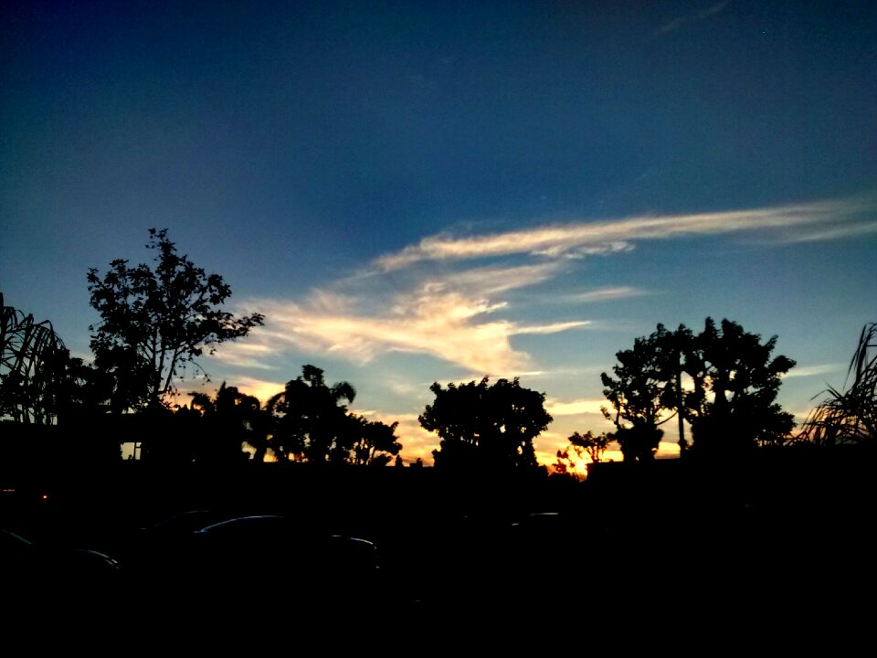 Free stock photo of clouds, sunset, trees