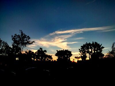 Free stock photo of clouds, sunset, trees