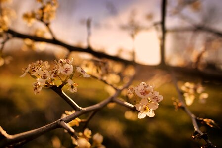 Free stock photo from Tookapic