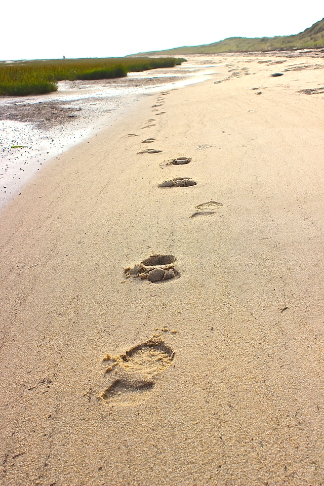 North sea sand wadden sea