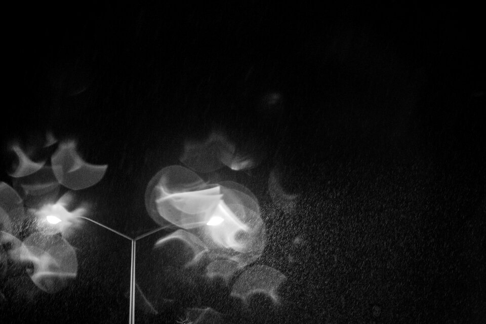 Free stock photo of black, blur, snow