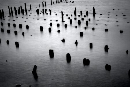 Free stock photo from Tookapic
