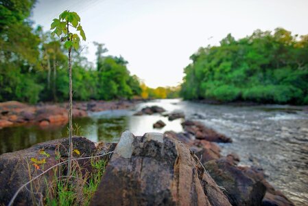 Free stock photo from Tookapic