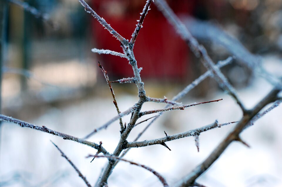 Free stock photo from Tookapic