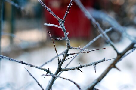 Free stock photo from Tookapic