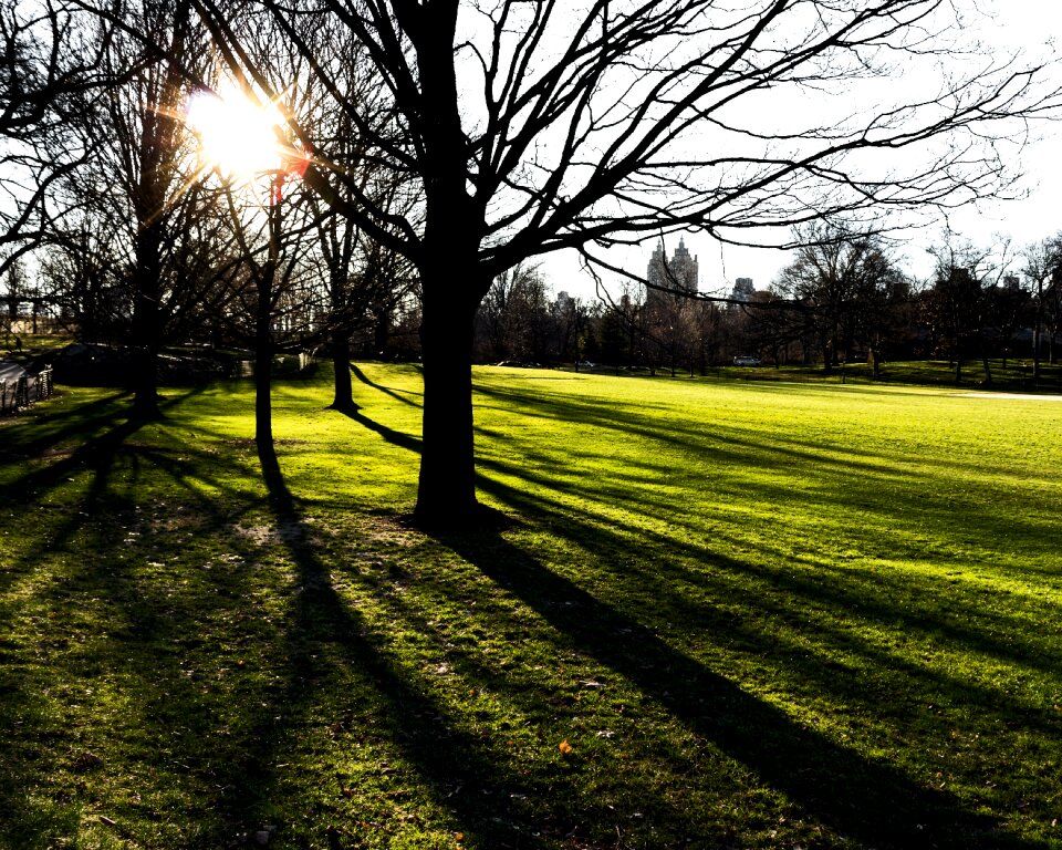 Free stock photo from Tookapic