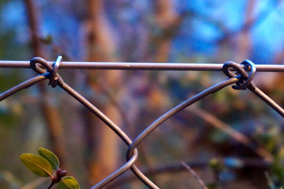 Free stock photo from Tookapic
